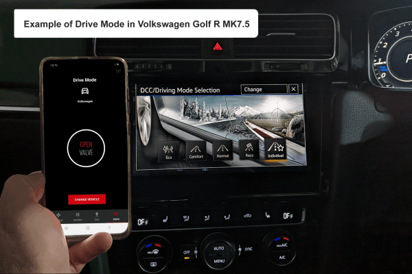 BMC01_2_drivemode_VAG